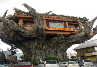 رستوران درختی، کاستاریکا