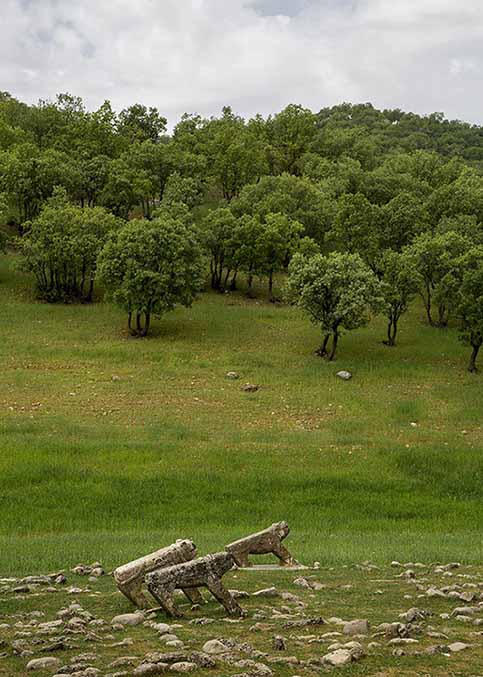 سفر به بام ایران